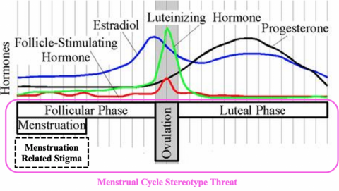 Hormone fluctuations across the menstrual cycle, with the addition of where stigma regarding menstruation may be prominent.